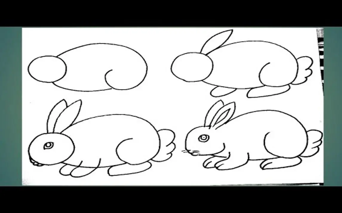 Step by Step Rabbit Drawing for Kids