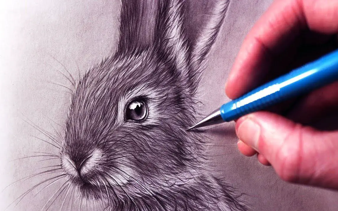Super Realistic Rabbit Sketch
