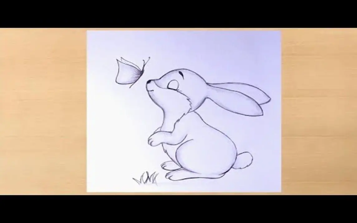 Adorable Rabbit Drawing
