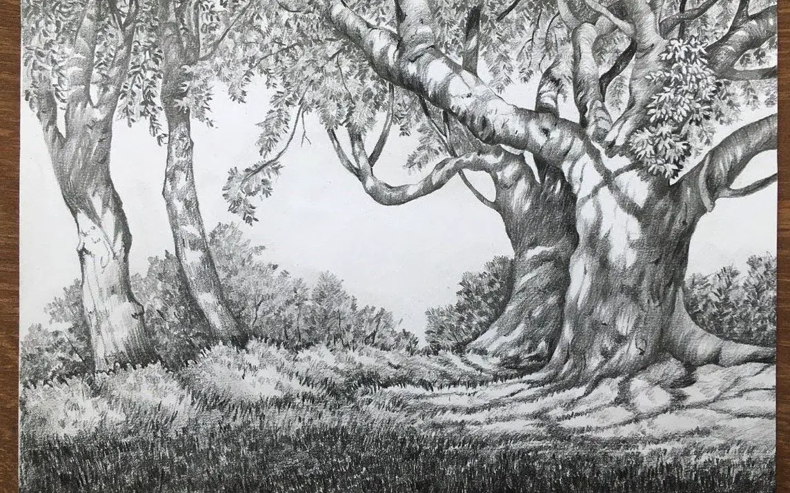 Drawing a Dense Rainforest