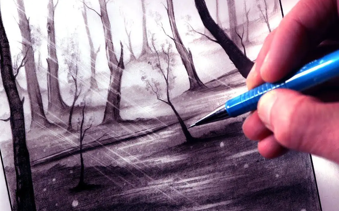 Rainforest Drawing Tutorial for Beginners