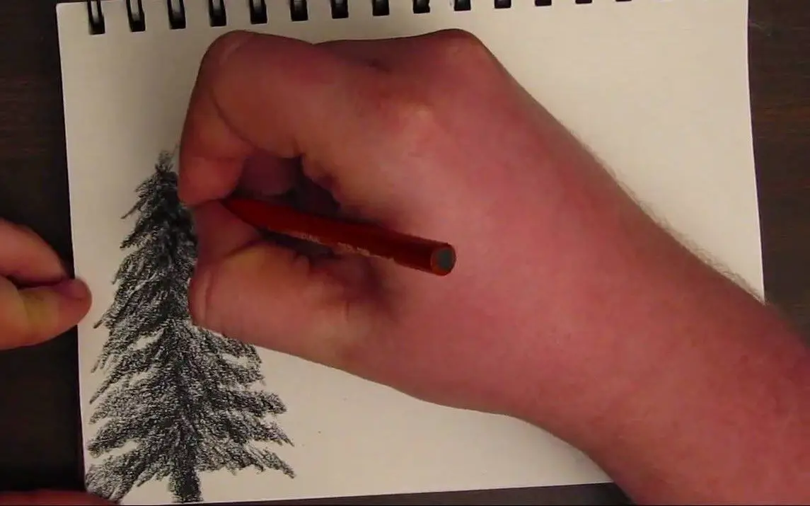 Easy Approach to Drawing Rainforest Trees