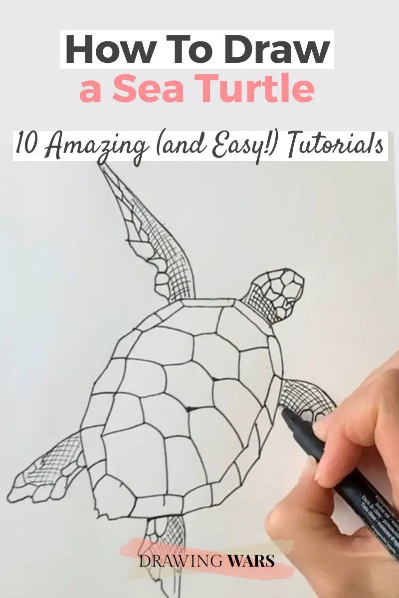 How To Draw A Sea Turtle: 10 Amazing and Easy Tutorials! Thumbnail
