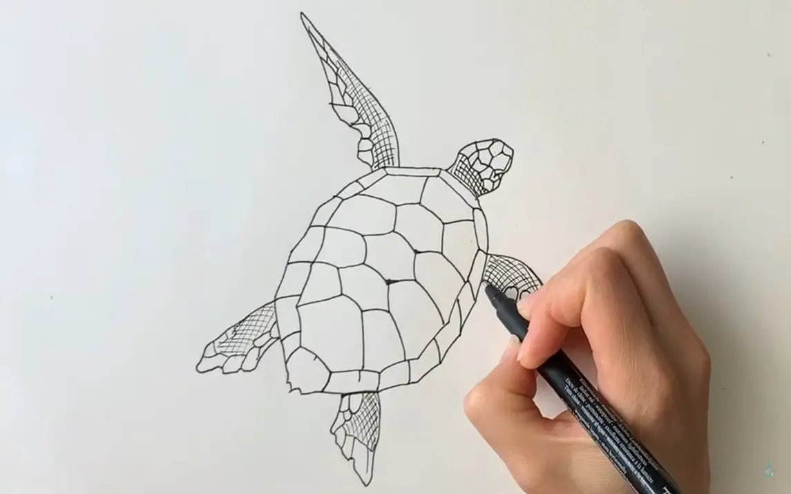 Simple Sketch of a Sea Turtle