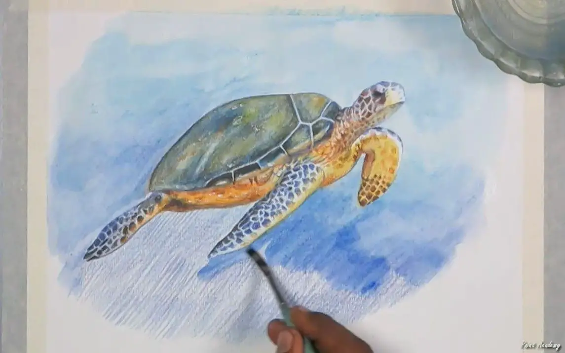 Excellent use of Watercolor Pencils to draw Sea Turtles