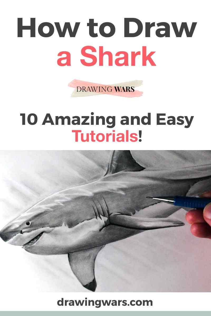 How To Draw A Shark Thumbnail