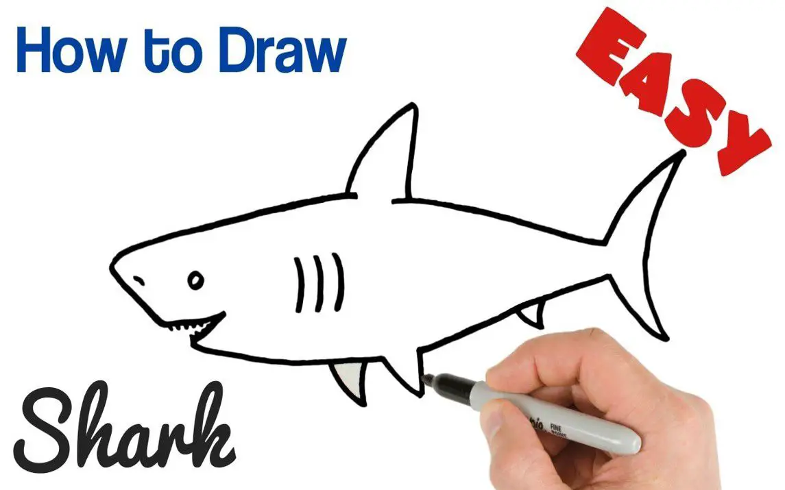 Easy Approach to Drawing Sharks