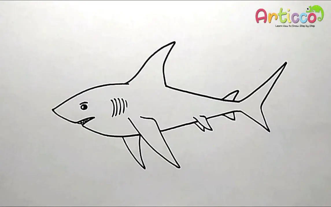 Quick and Easy Shark Drawing Tutorial