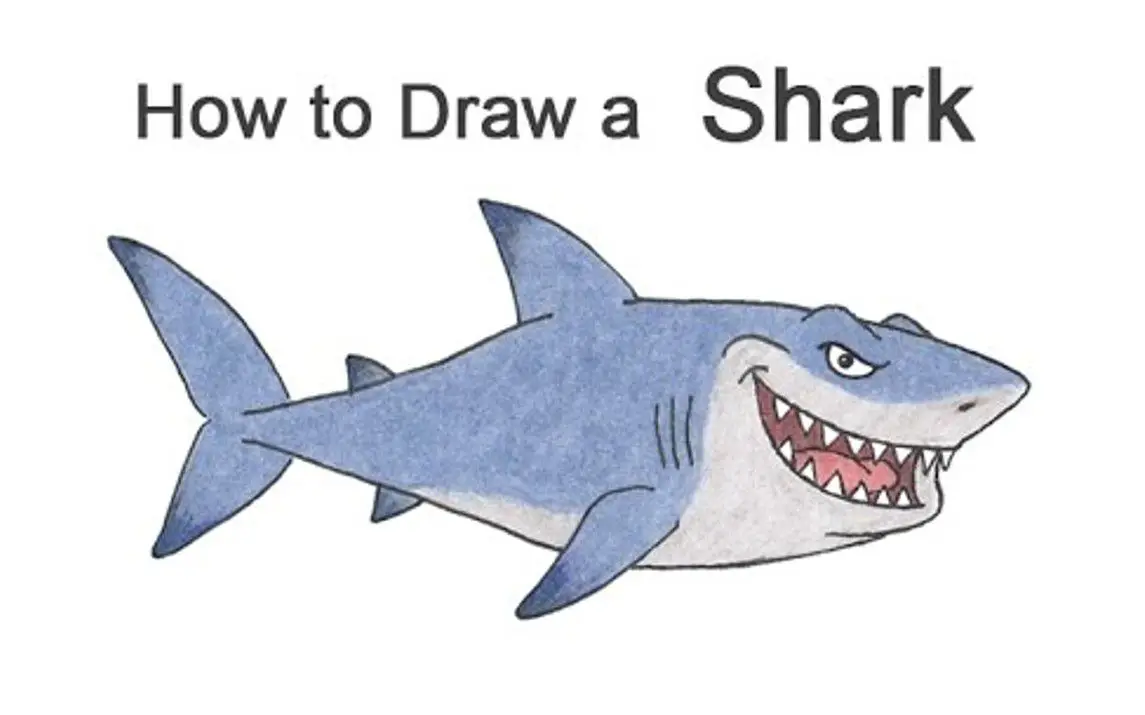 Cartoon Shark Drawing Tutorial