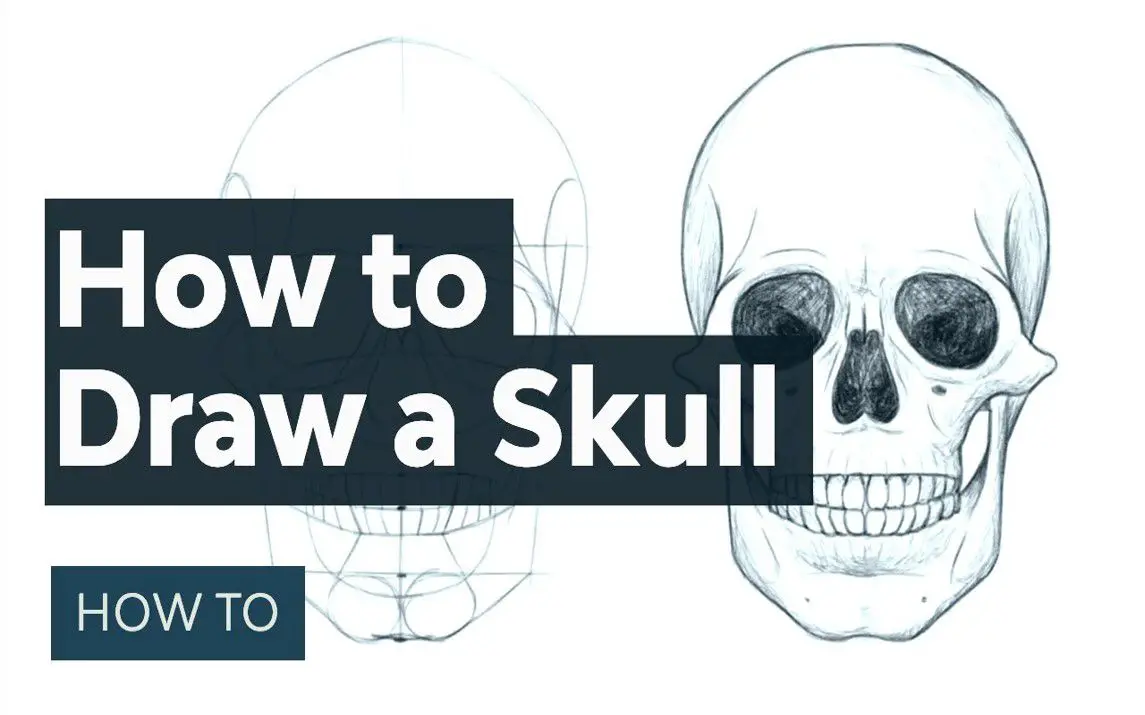 Step by Step Skull Drawing Tutorial