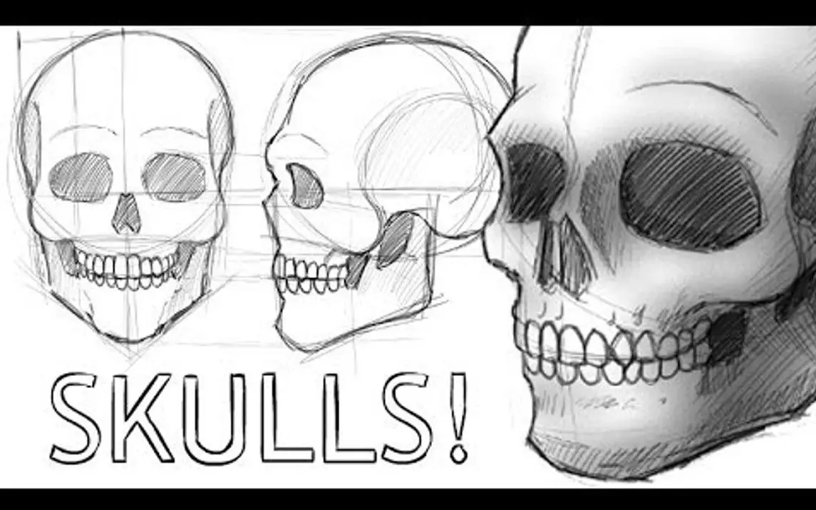 Skull Drawing Tips and Tricks