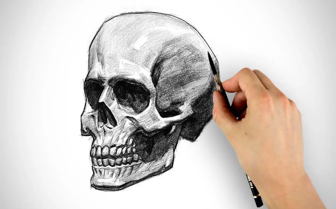 Amazing Skull Drawing Tutorial for Beginners