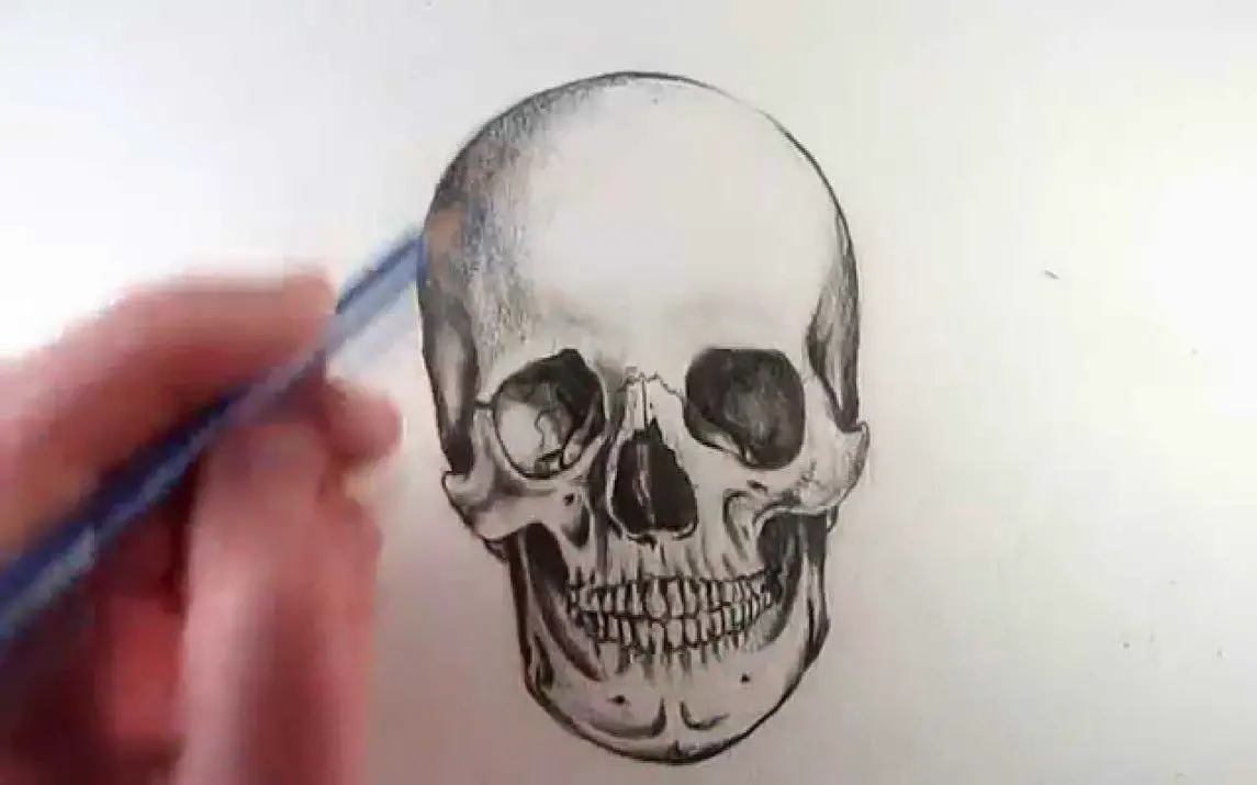 Realistic Skull Drawing Tutorial