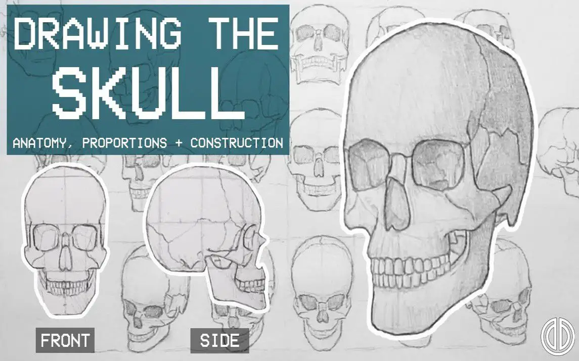 Detailed Tutorial on How to Draw Skulls