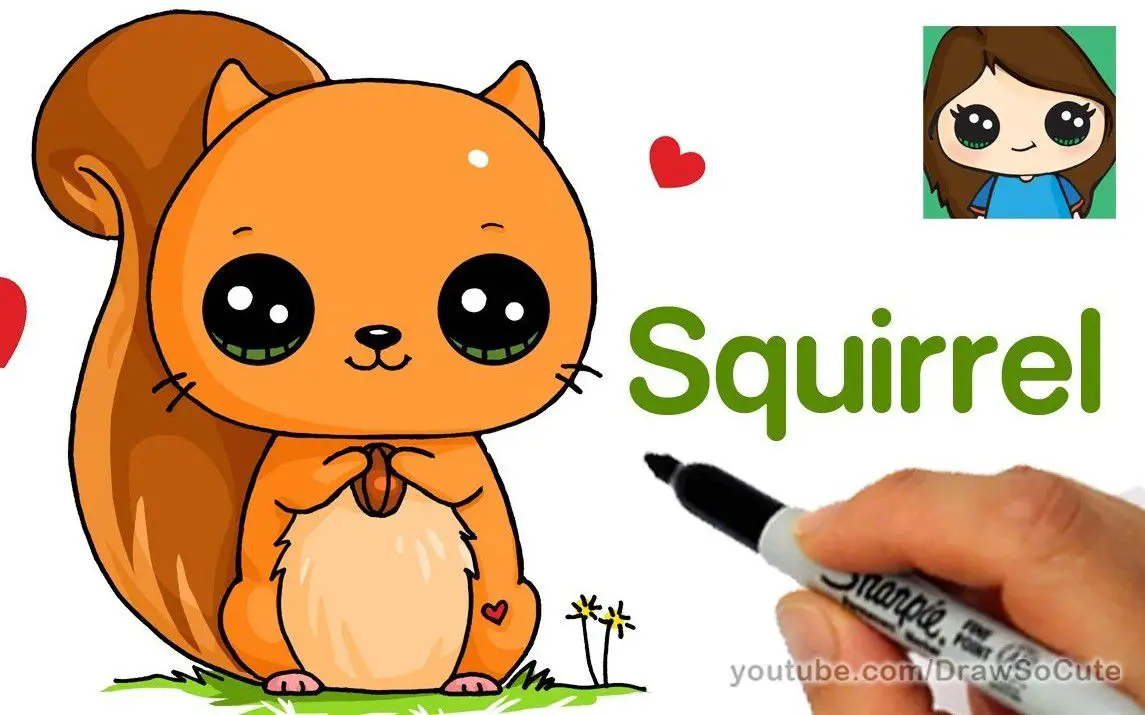Cartoon Squirrel Drawing for Kids
