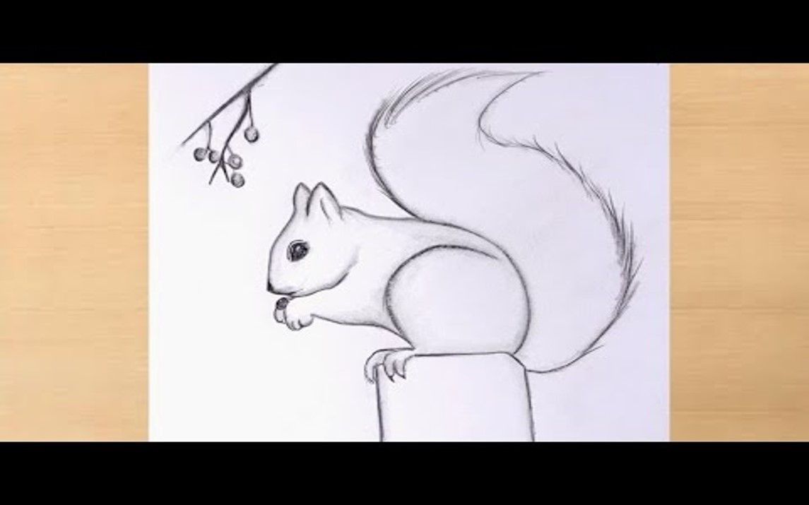 Simple and Easy Squirrel Line Art