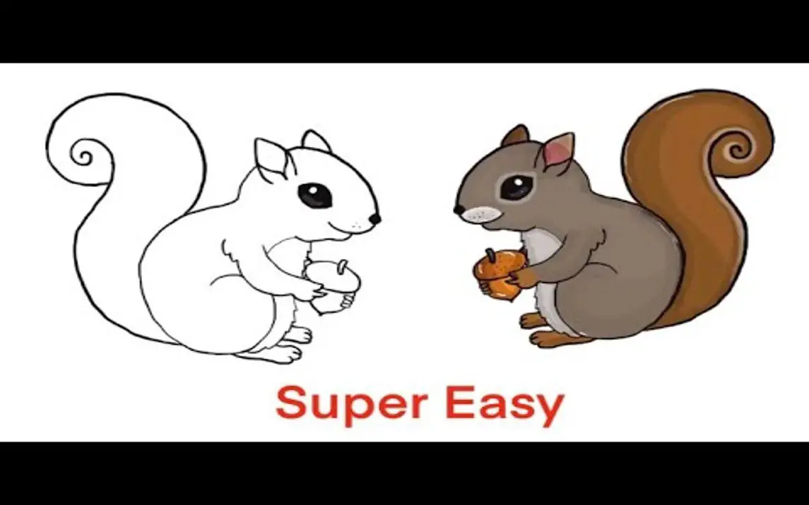 Cute Cartoon Squirrel