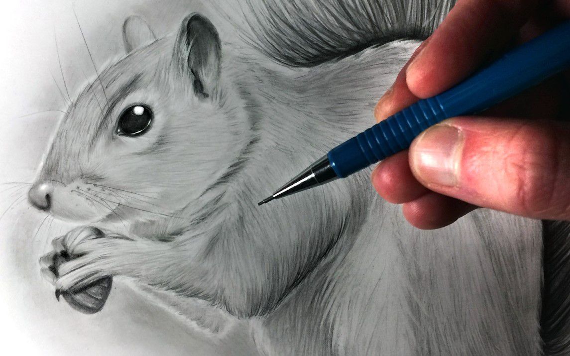 Super Realistic Squirrel Drawing Tutorial