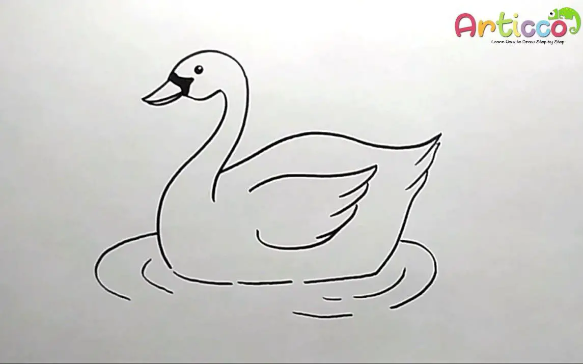 Swan Drawing Tutorial for Kids