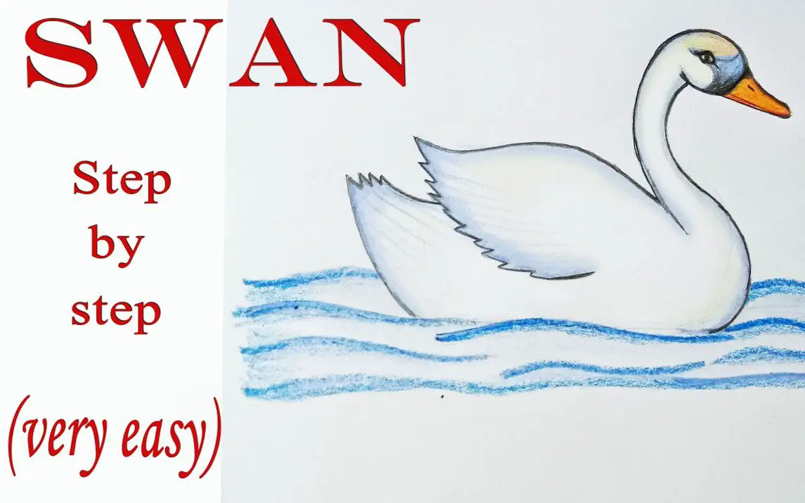 Simple Approach to Drawing a Swan
