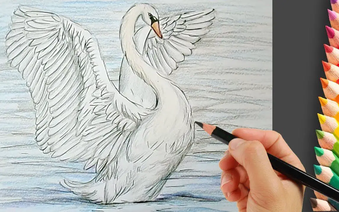 Majestic Drawing of a Swan
