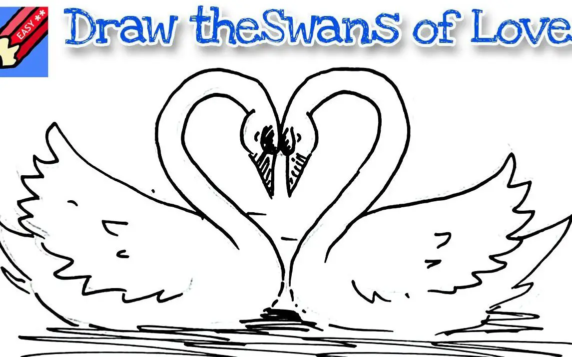 Swans forming a Heart