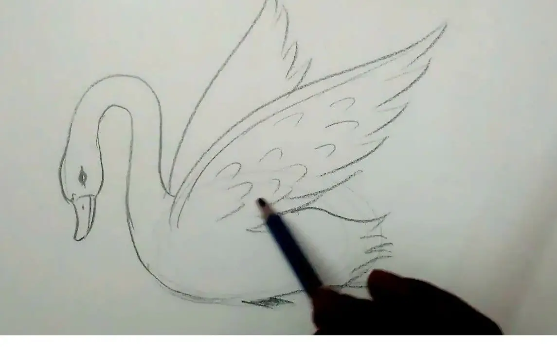 Easy Swan Drawing for Children