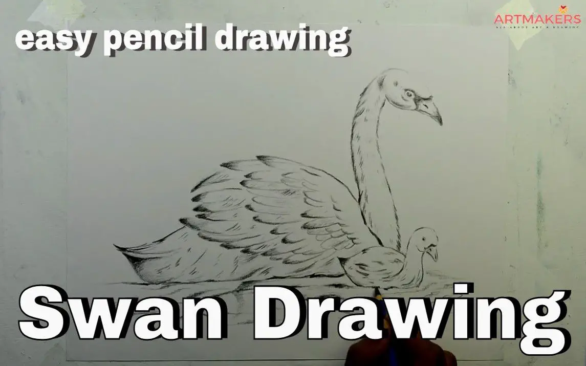 Detailed Swan Drawing Tutorial for Beginners