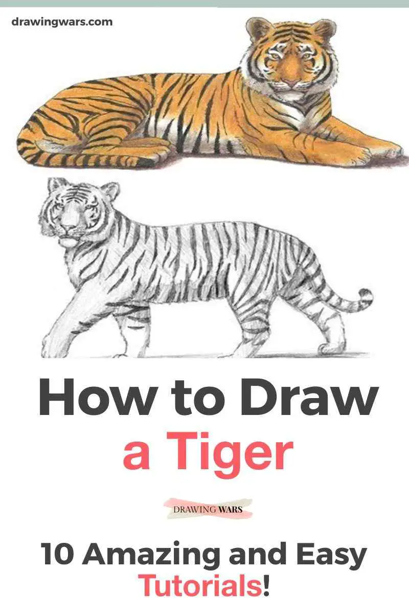 How To Draw A Tiger Thumbnail
