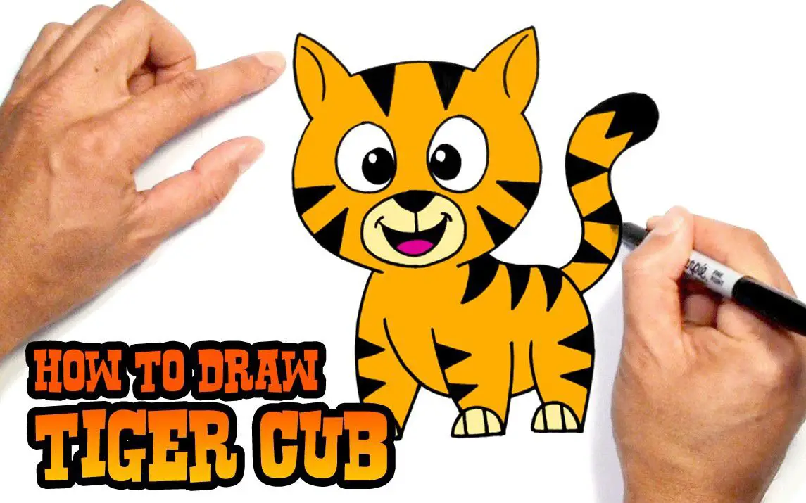 Cute Tiger Cub Drawing Tutorial