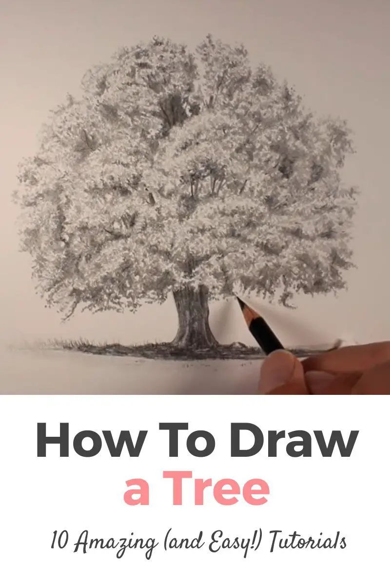 How To Draw A Tree: 10 Amazing and Easy Tutorials! Thumbnail