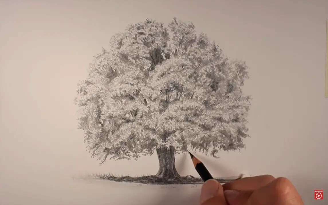 Realistic Tree drawing Tutorial