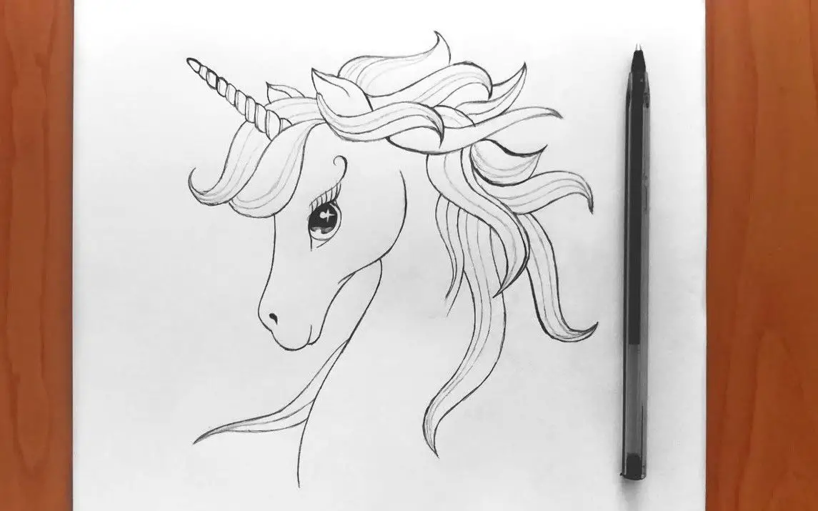 How to Draw a Unicorn Step by Step guide  UnicornYard  