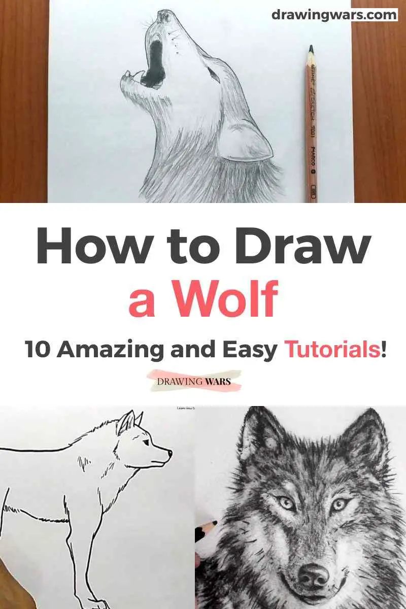 How To Draw A Wolf Thumbnail