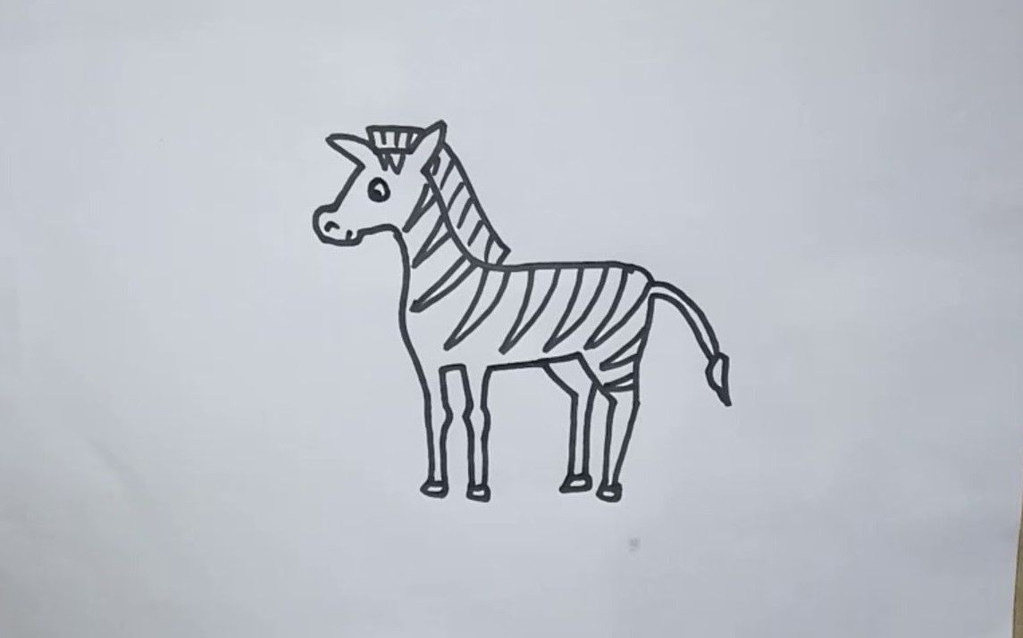 Drawing a Miniature Zebra