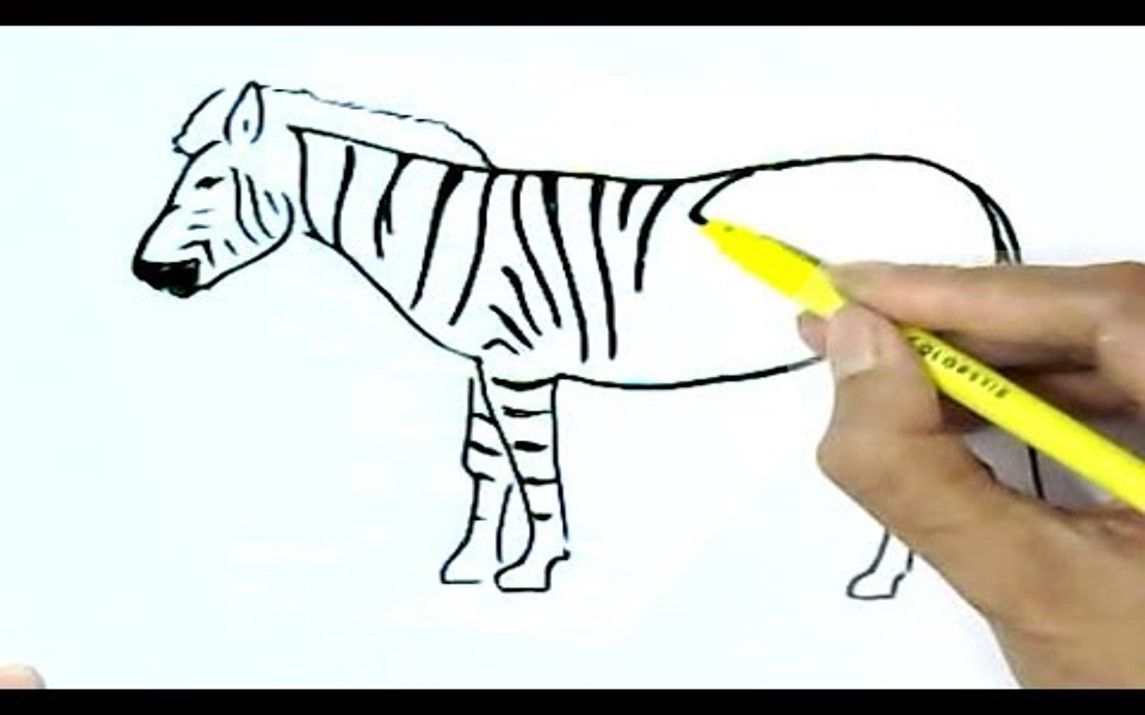 Easy Line Drawing of a Zebra