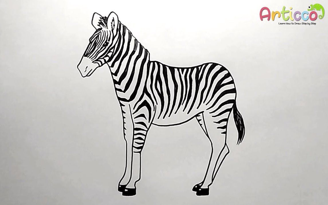 Easy Way to Draw a Realistic Zebra