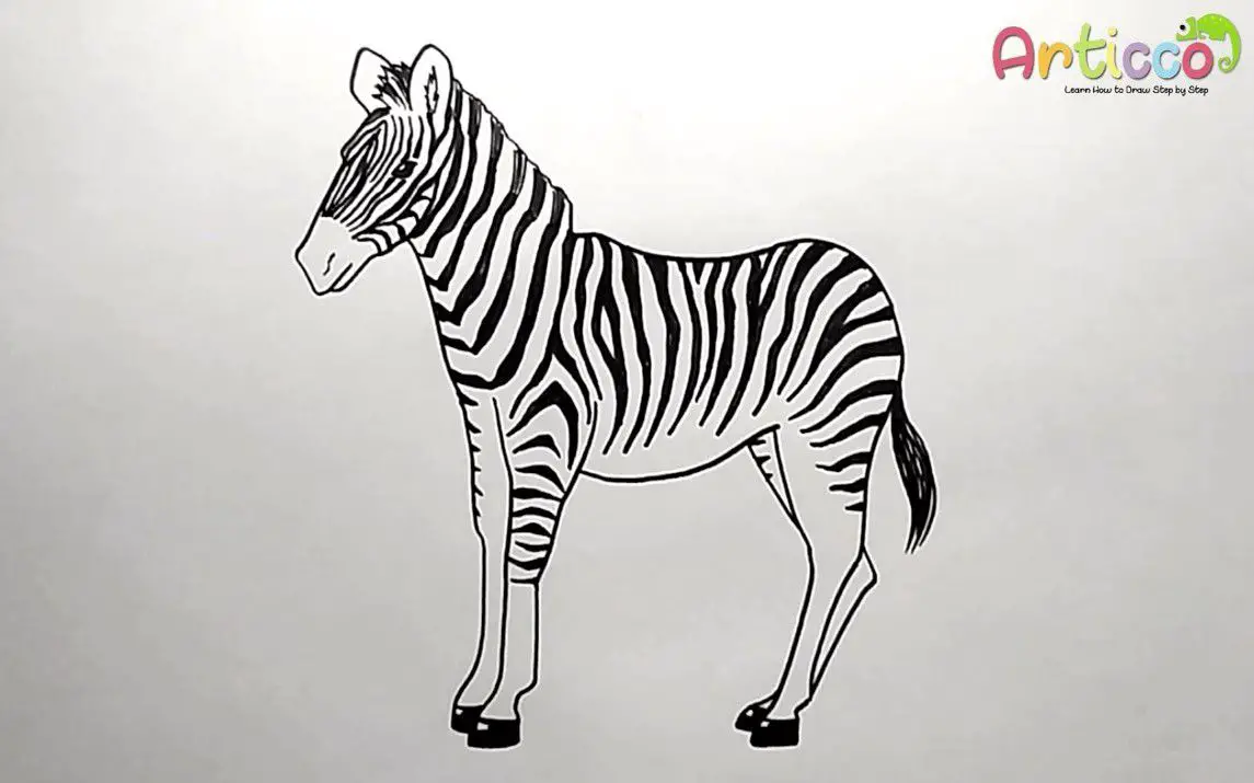 Easy Way to Draw a Realistic Zebra