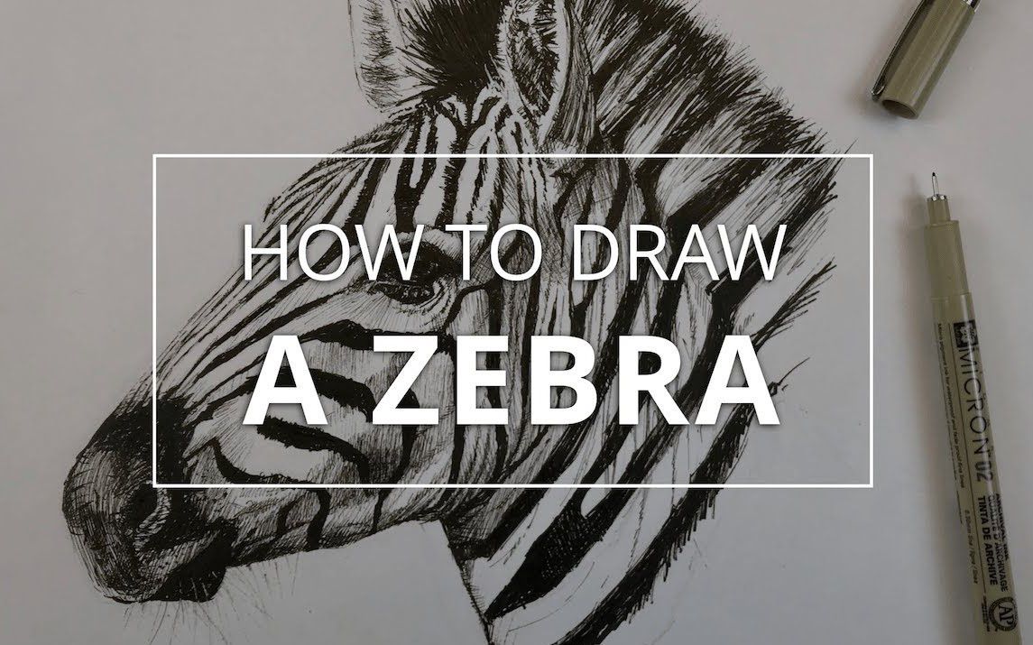 Striking Portrait of a Zebra