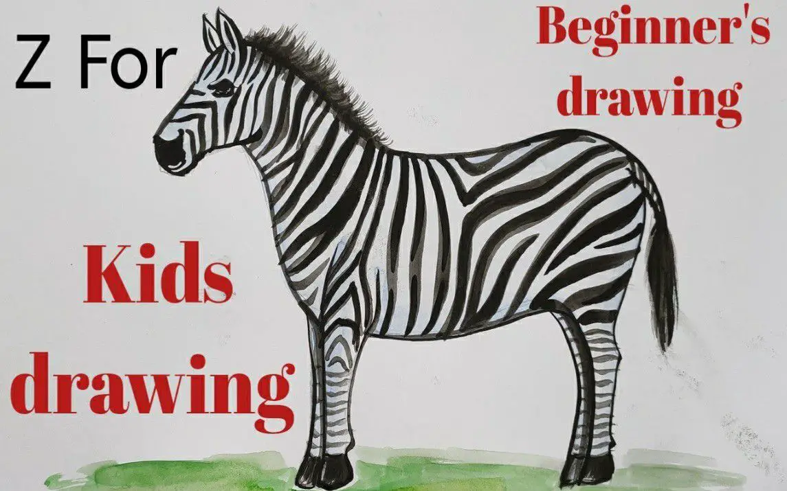 Step by Step Zebra Drawing for Kids