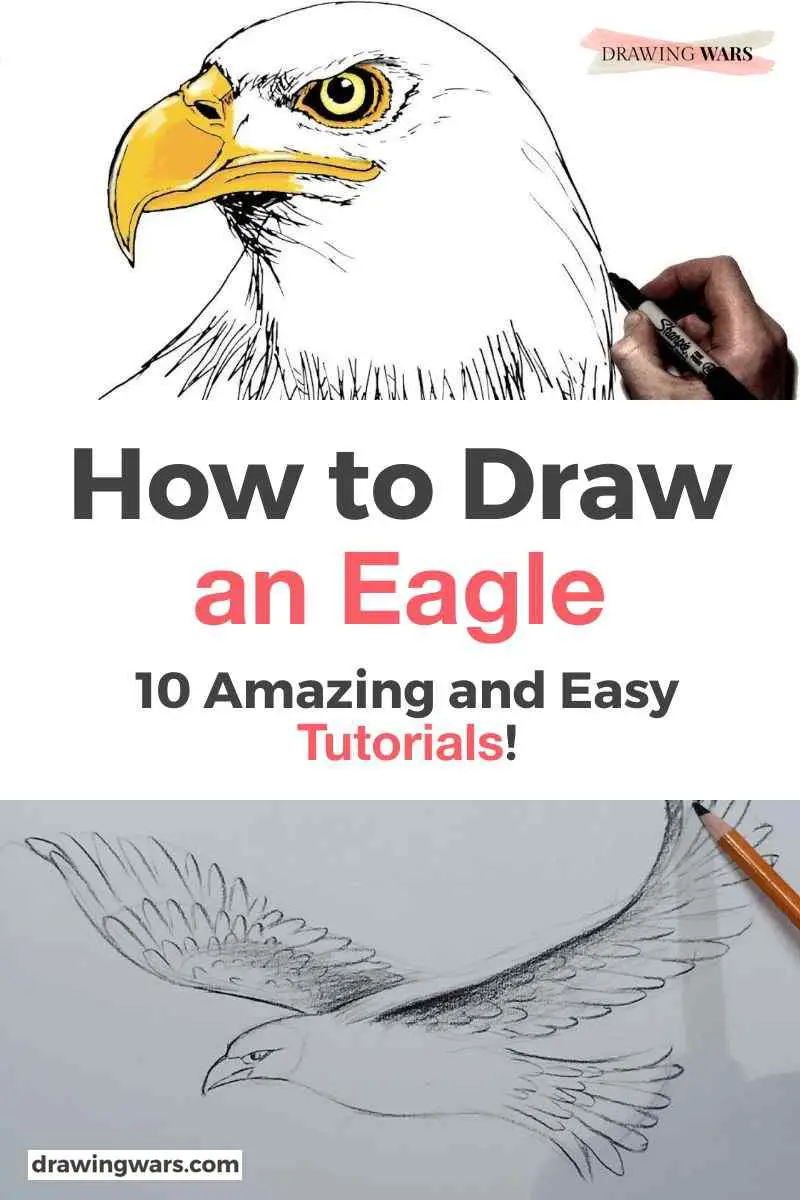 How To Draw An Eagle Thumbnail