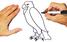 How To Draw An Eagle