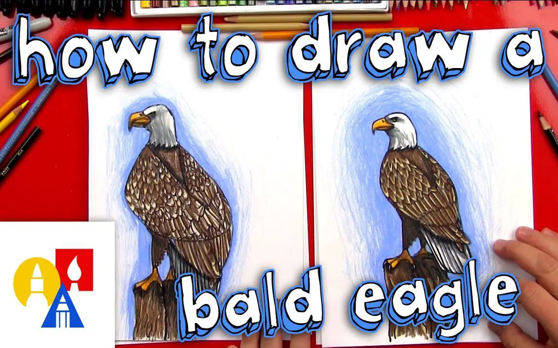 Realistic Eagle Drawing Lesson for Kids