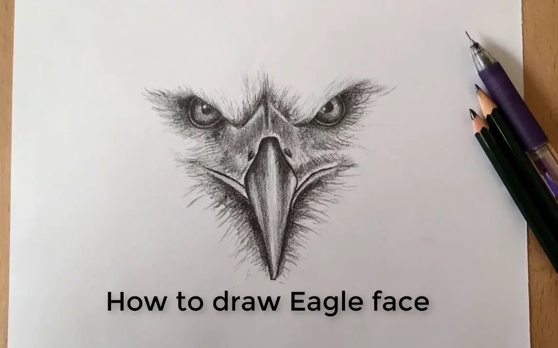 Striking Sketch of an Eagle’s Face