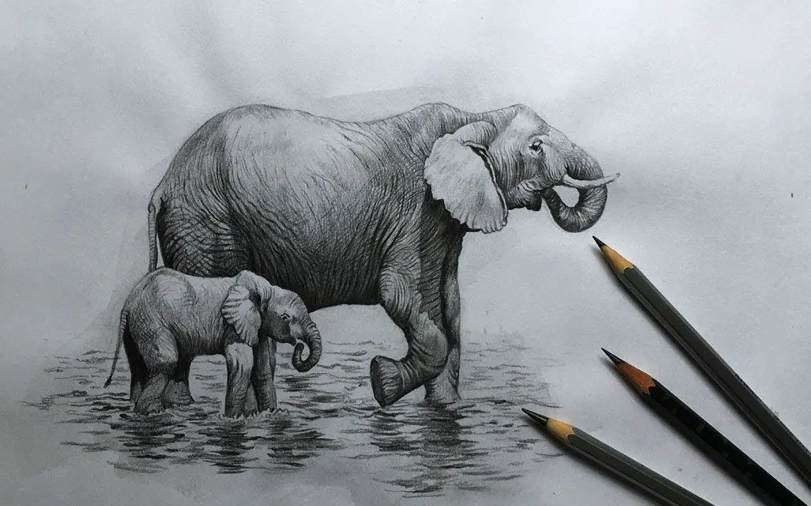 Amazing Elephant Scenery Sketch