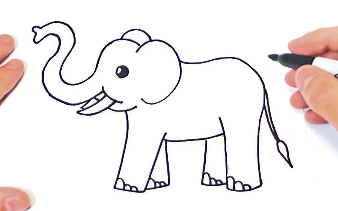 Simple Elephant Line Drawing Tutorial