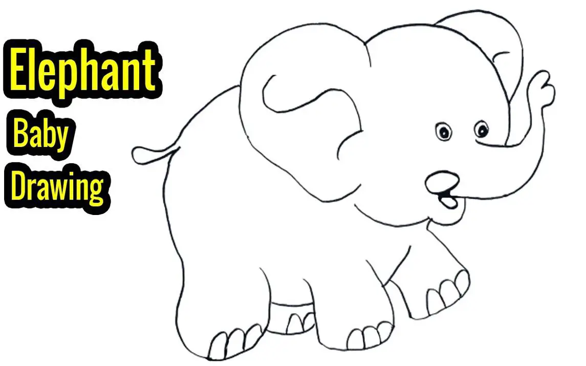 Baby Elephant Drawing Tutorial