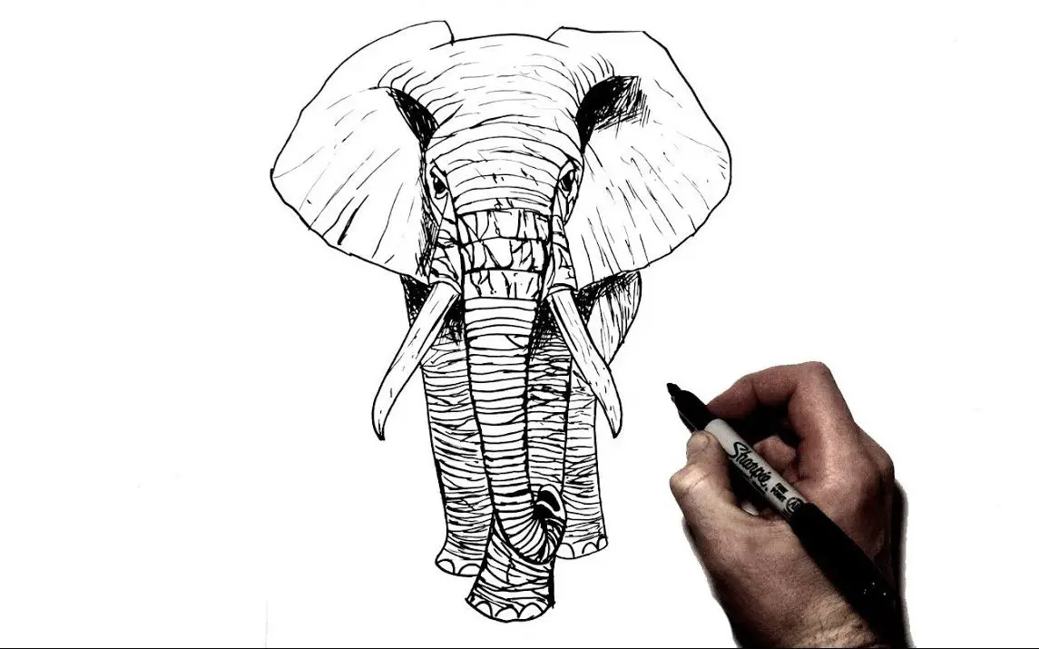 Cool Elephant Tattoo