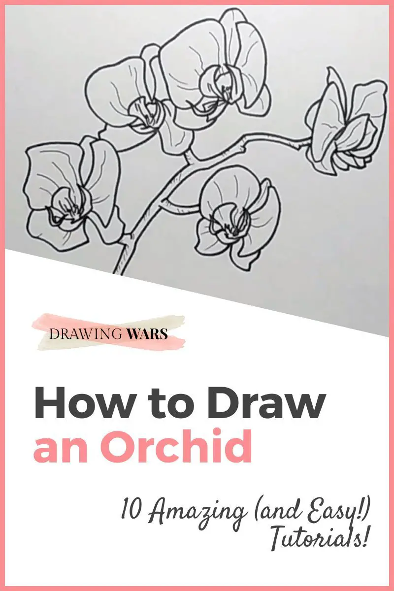 How To Draw An Orchid: 10 Amazing and Easy Tutorials! Thumbnail