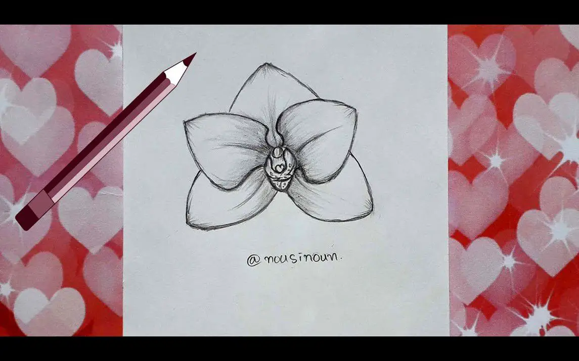 Quick and Easy Orchid Drawing